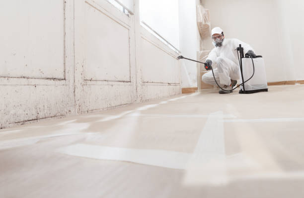 24/7 Emergency Attic Mold Removal experts in Smithfield, NC